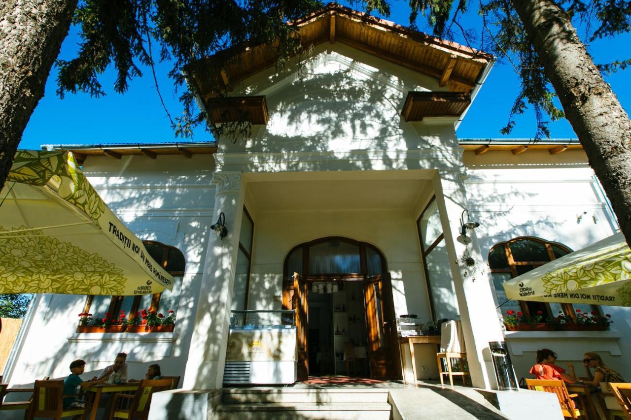 Casa Del Sole Hotel Alba Iulia Eksteriør billede